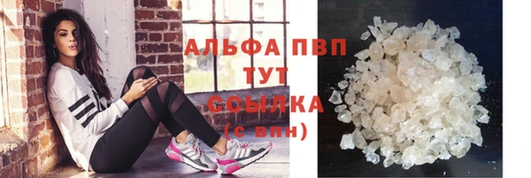 гашик Абаза