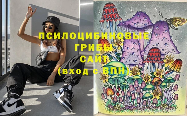 гашик Абаза