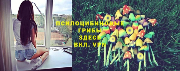 mdpv Магас
