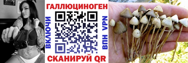 блэк спрут вход  Уржум  Галлюциногенные грибы прущие грибы 